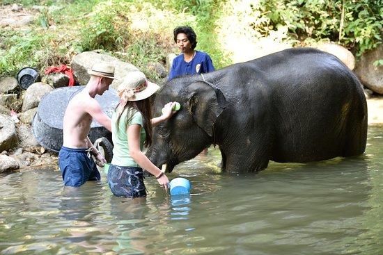 Anda Adventure - Day Tours