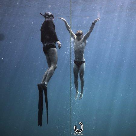 We Freedive