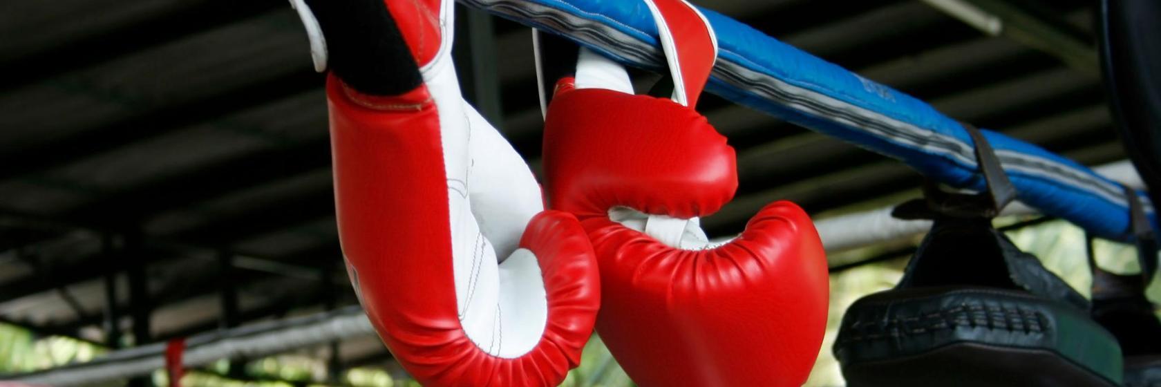 Camp d'entraînement Tiger Muay Thai et MMA